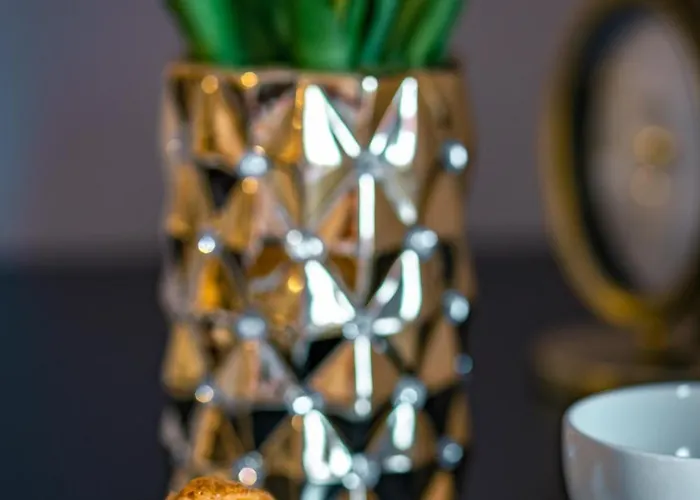 Homestay szállás Rosa